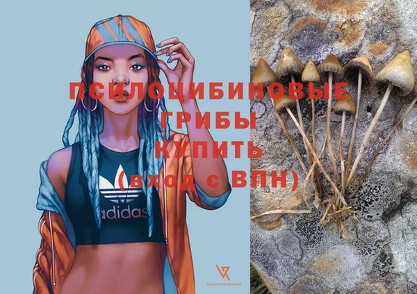 ALPHA PVP Алексин